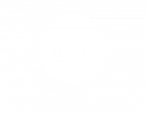 K&N Honey Logo